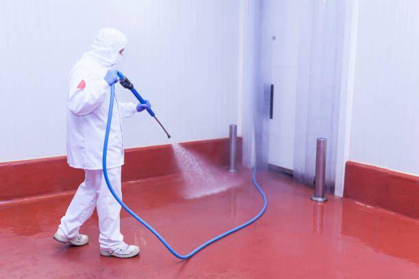Best Pre-Holiday Cleaning  in Head Of The Harbor, NY